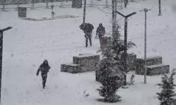 Van’da Kar Seti: 40 Yerleşim Yolu Kapandı!