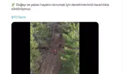 Karabük’te Kaçak Avcılara 4 İdari İşlem