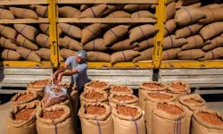 Fındık İhracatında Ocak Ayında Miktar ve Değer Düştü