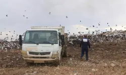 Edremit’te Tarihi Geçmiş Ürünler Toplandı