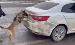 Erzurum’da 34 Kg Uyuşturucu Ele Geçirildi