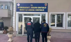2 Hükümlü Jandarma Operasyonuyla Yakalandı