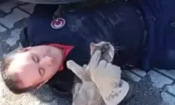 Ambulans Altında Sıkışan Kedi Kurtarıldı