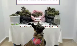 Uyuşturucu Operasyonu: 2 Şüpheli Tutuklandı