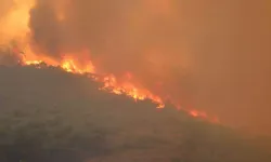 Yamanlar Yangını: “Rant” İddialarına Yanıt