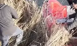 Yasa Dışı Avcılığa Operasyon: 5 Güme İmha Edildi