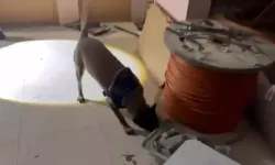 Eve Baskın: 50 Kg Metamfetamin Ele Geçirildi, 3 Gözaltı