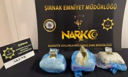 Şırnak’ta 1,4 Kilo Skunk Ele Geçirildi