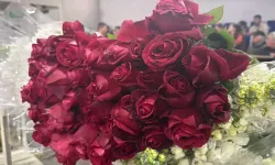 Yalova’da Sevgililer Günü Öncesi Çiçek Mezadında Yoğunluk