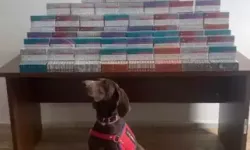 Bolu’da 36 Bin Elektronik Sigara Kiti Ele Geçirildi