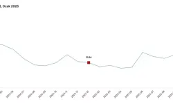 Türkiye’de Tarım Üretici Fiyatları Ocakta Yükseldi