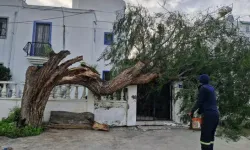 Lodos Fırtınasına 80 Müdahale: Ekipler Sahada Aralıksız