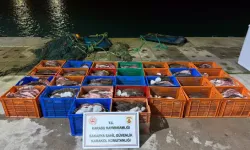 Karasu Açıklarında Kaçak 300 Kalkan Balığı Ele Geçirildi