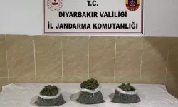 Diyarbakır’da 1 Haftada 12 Uyuşturucu Şüphelisi Yakalandı