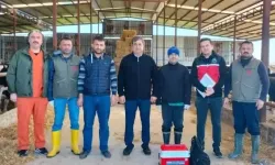 Büyükbaş Hayvanlarda Şap Aşısı