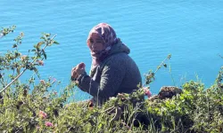 Oğlunun Nakline Tepki: Anne Falezlere Çıktı