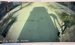 Konserve Kutusuna Sıkışan Kedi Kurtarıldı