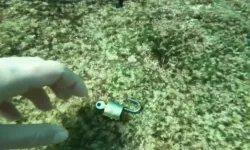 Antalya Kıyılarında Dalgıcın Şaşırtan Keşifleri