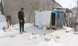 Evinin Damında 3 Irktan 50 Güvercin Besliyor