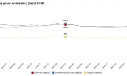 TÜİK Şubat Ayı Güven Endekslerini Açıkladı