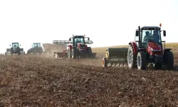 Mardin Ovası’na Yağmur Bereketi Geldi