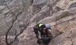 Siirt’te Kayalıkta Mahsur Kalan Keçiler Kurtarıldı