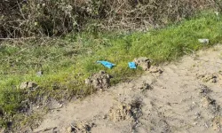 İstanbul’da Çinli İş İnsanı Gasp İçin Öldürüldü