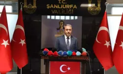 Şanlıurfa’da 27 Bin Sokak Köpeği Bakımevine Alındı