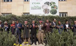 Şırnak’ta 110 Üreticiye 25 Bin Fidan Dağıtıldı