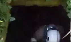 Antakya’da Atık Su Kuyusuna Düşen Kedi Kurtarıldı