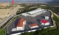 Korkuteli Canlı Hayvan Pazarı Yeniden Açılıyor