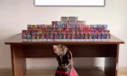 Bolu’da 150 Kaçak Elektronik Sigara Ele Geçirildi