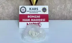 Evde Bonzai Operasyonu: 63,54 Gram Saf Madde Ele Geçirildi