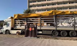 Kepez’de TIR’da 7,4 Milyon Kaçak Makaron Ele Geçirildi