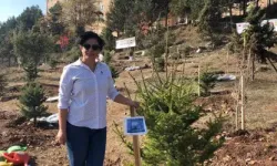 Bolu’da Anne Oğlunun Mezarında Kalp Krizi Geçirdi