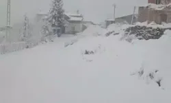 Doğu Karadeniz’de 371 Köy Yolu Kar Nedeniyle Kapandı