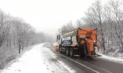 Kocaeli’nin Yüksek Kesimleri Beyaza Büründü