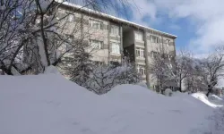 Bitlis’te Karla Mücadele: 304 Yoldan 254’ü Açıldı