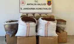 Yolcu Otobüsünde 500 Kg Kaçak Tütün Ele Geçirildi
