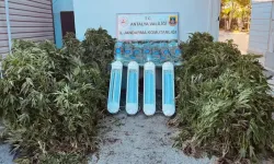 Aksu’da Skunk Operasyonu: 23 Kilo Uyuşturucu Ele Geçirildi