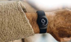 Tokat’ta Alzheimer Hastalarına Akıllı Koruma: Kaybolma Riski Sona Eriyor!