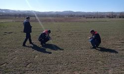 Artova’da Tarla Faresine Karşı Hububat Denetimi
