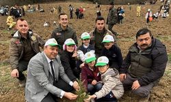 Erbaa’da Orman Haftası Coşkusu: Yüzlerce Fidan Toprakla Buluştu