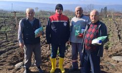 Erbaa Bağlarında "Bağ Uyuzu" Mesaisi: 6 Köyde Eş Zamanlı Çalışma