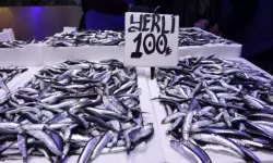 Trabzon’da Ramazan’da Hamsi ve İstavrit Bolluğu