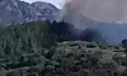 Osmaniye’de Orman Yangını Meydana Geldi
