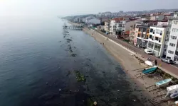 Süleymanpaşa’da “Kral Yolu” Deniz Çekilince Ortaya Çıktı