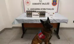 Osmaniye’de 1 Haftada 83 Şüpheli Yakalandı