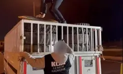 Kemalpaşa’da Kamyonette 8 Bin Kaçak Sigara Ele Geçirildi