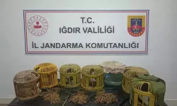 Iğdır’da Kaçak Keklik Avlayan 3 Kişiye 175 Bin Lira Ceza